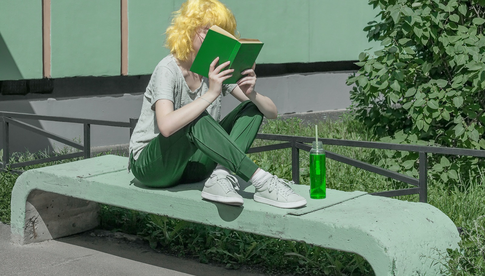 Reading a Book