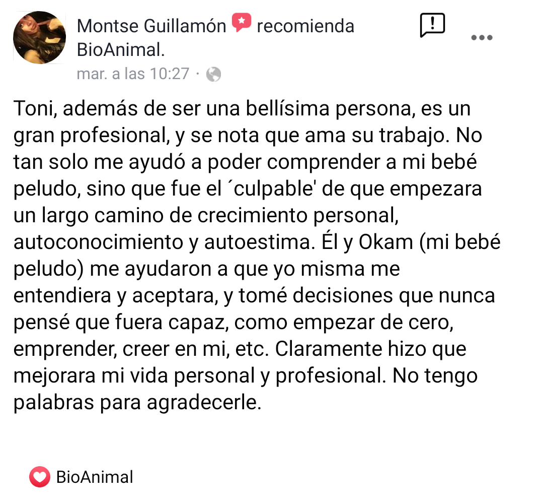 testimonio 2.png
